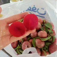 آلوچه کیلویی۱۰۰ بسیار شیرین و خوشمزه و آبدار