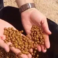 فروش عمده غذای ماهی کپور