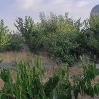 باغ 500متری با مجوز .چسبیده بهداشت یاران