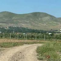 زمین شفیع آباد جانبازان