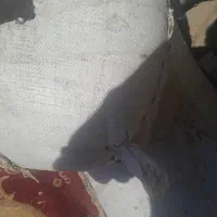 حمیدیه