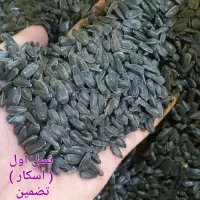 بذر تخمه آفتابگردان روغنی