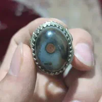 انگشتر سلیمانی بحری عطف