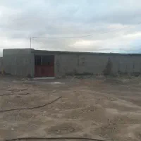 زمین ۱ هکتار با انبار مناسب برای کشاورزی و شترداری