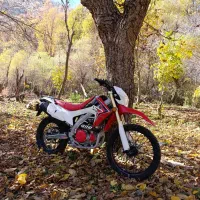 تریل آکسفورد ثاقب خودرو