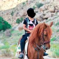 اسب دورگه کرد دره شور