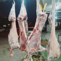 عصرکشتار گرم کهره  بره  ورندیل  ۹۸۰سبد کالا فعال