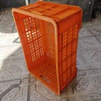 سبد مرغ
