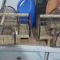 سهره تله چهار تایی سهره
