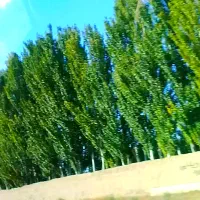 زمین فروشی پردیس ۱۴