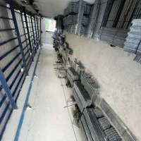 رابیتس مستقیم از کارخانه/قیمت مناسب و کیفیت تضمینی