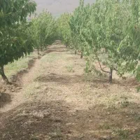 فروش