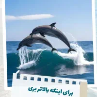 راننده و توزیع کننده