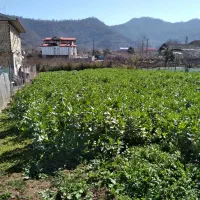 زمین-با-کاربری-مسکونی-خطبه-سرا