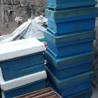 فروش کندوی کشاورزی