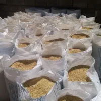 جو محلی قیمت 54500
