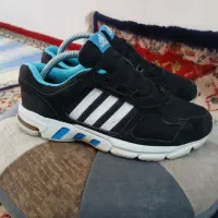 اکومنت ۱۰ zx8000 zx