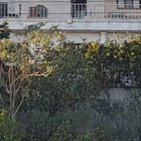 پارک پلیس/خ توحید ۱۲۳ متر ۳ خوابه