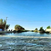 دوتا کارت نفتی دارم