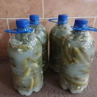خیارشور خانگی