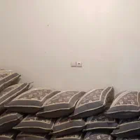 پشتی