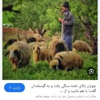نیازمند چوپان