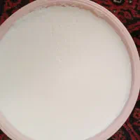 شیر تازه گوسفندی پر چرب