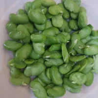 باقالی  اصل گیلان دانه سبز۵۰تومان