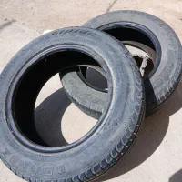 تایر بارز