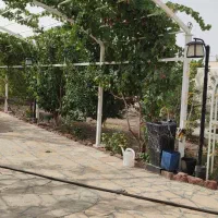استخدام باغبان