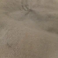 موکت طوسی رنگ سالم