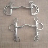 دهنه دی|اسب و تجهیزات اسب‌سواری|خمینی‌شهر, |دیوار