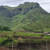 نیاز  به سرویس سواری