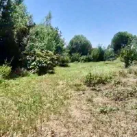 زمین کشاورزی