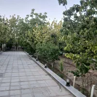 باغ جنگلی حیدراباد جار برکان