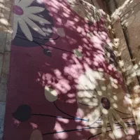فرش