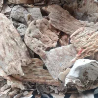 فروش نان خشک