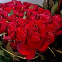 گل رز و نرگس