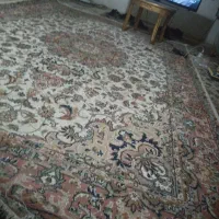 قالی