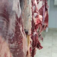گوشت|خوردنی و آشامیدنی|کرج, شهرک بهارستان|دیوار
