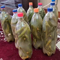خیارشور خونگی