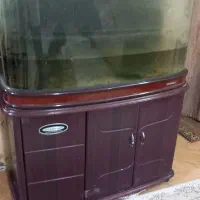 آکواریوم