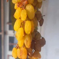 کشمش زرد وتمیز