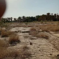فروش زمین در روستای نوکجوب بمپور