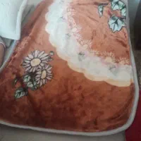 پتو|رختخواب، بالش، پتو|نیشابور, پاستور|دیوار