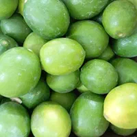 شاگرد برا میوه فروشی