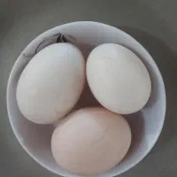 تخم مرغ محلی