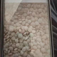 عدس خوشپخت و تمیز