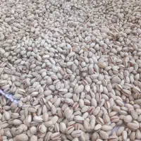 پسته خشک