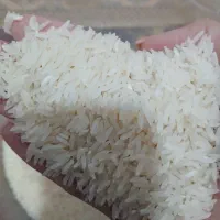 برنج فجرسوزنی